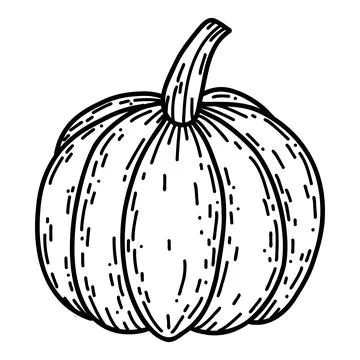 Pumpkin in hand drawn doodle style. Linear autumn vector illustration Stock Illustration