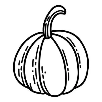 Pumpkin in hand drawn doodle style. Linear autumn vector illustration Stock Illustration