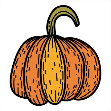 Pumpkin in hand drawn doodle style. Linear autumn vector illustration Stock Illustration