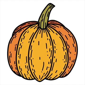 Pumpkin in hand drawn doodle style. Linear autumn vector illustration Stock Illustration
