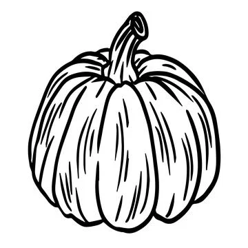 Pumpkin hand drawn illustration isolated on white background. Stock Illustration
