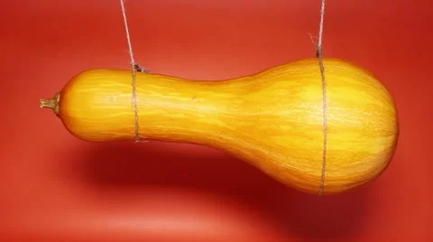 Pumpkin Hanging On A Rope Stock Footage 67010082