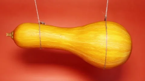 Pumpkin Hanging On A Rope Stock Footage 67011416