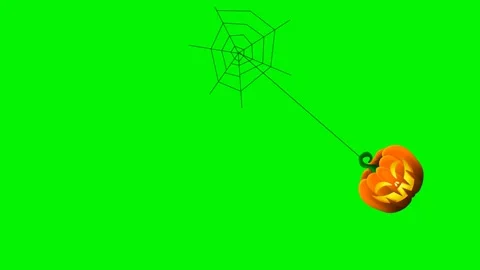 Pumpkin hanging from the spider web on green screen background Stock Footage 245057235