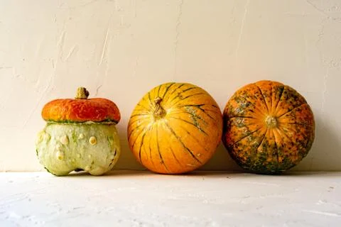 .pumpkin with a hat Stock Photos