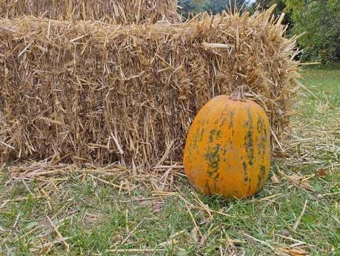Pumpkin by the hay Stock Photos