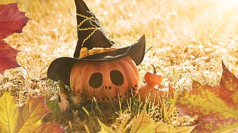 Pumpkin head Jack-o'-lantern close-up and orange autumn pumpkins, still life in Stock Photos