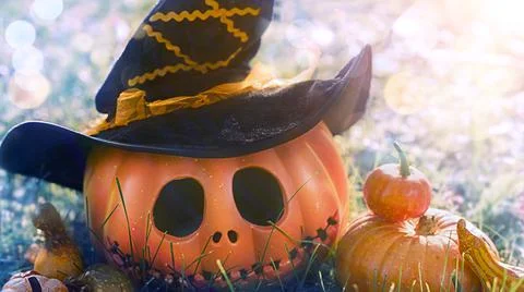 Pumpkin head Jack-o'-lantern close-up and orange autumn pumpkins, still life in Stock Photos