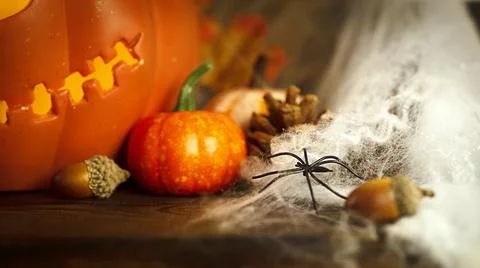 Pumpkin head Jack-o'-lantern and different small pumpkins, cones, acorns and Stock Photos