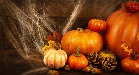 Pumpkin head Jack-o'-lantern and different small pumpkins, cones, acorns and Stock Photos