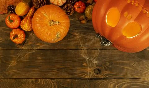 Pumpkin head Jack-o'-lantern and different small pumpkins, cones, acorns and Stock Photos