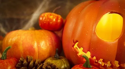 Pumpkin head Jack-o'-lantern and different small pumpkins, cones, acorns and Stock Photos
