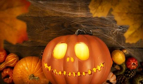 Pumpkin head Jack-o'-lantern and different small pumpkins, cones, acorns and Stock Photos