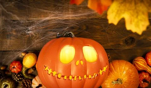 Pumpkin head Jack-o'-lantern and different small pumpkins, cones, acorns and Stock Photos