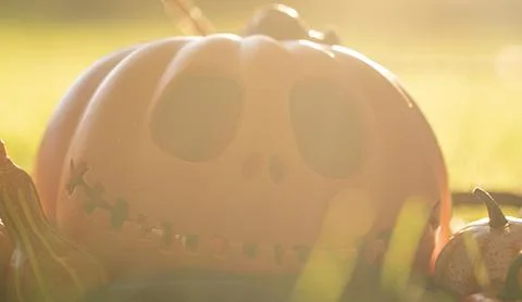 Pumpkin head Jack-o'-lantern close-up and orange autumn pumpkins, still life in Foto stock