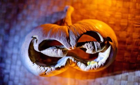 Pumpkin head Foto stock