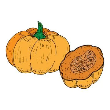 Pumpkin icon. Stock Illustration