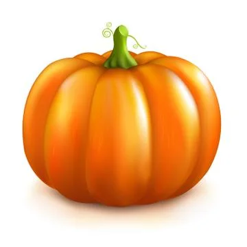 Pumpkin Stock Illustration