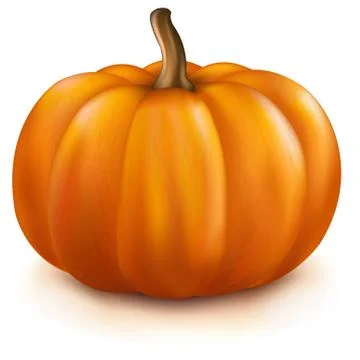 Pumpkin Stock Illustration