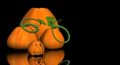 Pumpkin Illustrazione stock