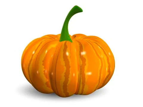 Pumpkin Illustrazione stock