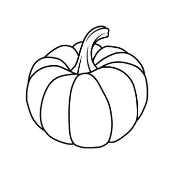 Pumpkin Illustrazione stock