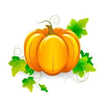 Pumpkin Stock Illustration