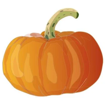 Pumpkin Stock Illustration