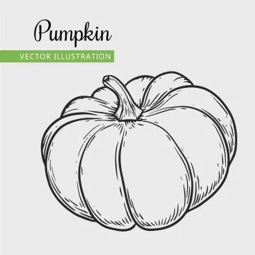 Pumpkin Stock Illustration