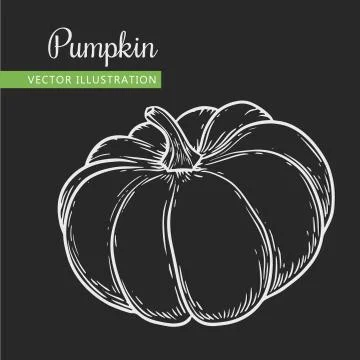 Pumpkin Stock Illustration