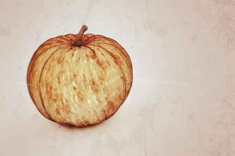 Pumpkin Stock Illustration