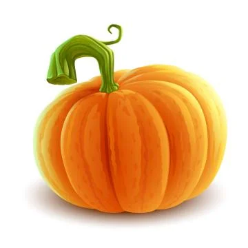 Pumpkin illustration Stock Illustration