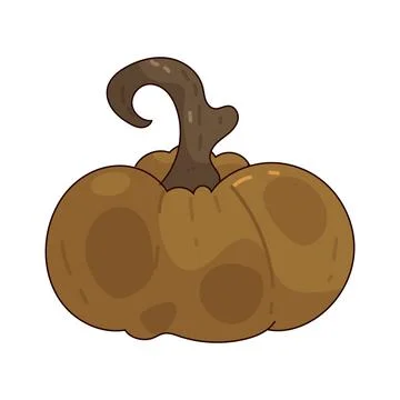 Pumpkin illustration Stock Illustration