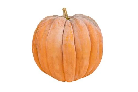 Pumpkin isolate. Fresh orange pumpkin isolated on white background. Stock Photos