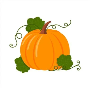 Pumpkin, isolated flat vector illustration Illustrazione stock