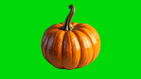 Pumpkin isolated On Green Screen Background Animation Stock Video Stock Footage 292196873