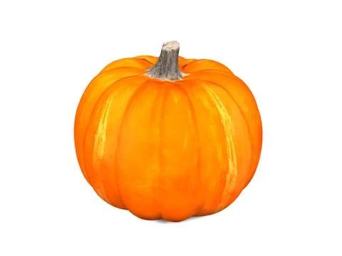 Pumpkin isolated Stock Illustration