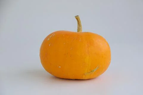 A pumpkin isolated on a light background. Stock Photos