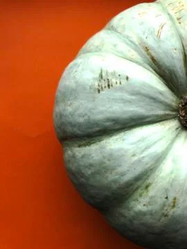 Pumpkin isolated on orange background. Close-up photo Stock Photos