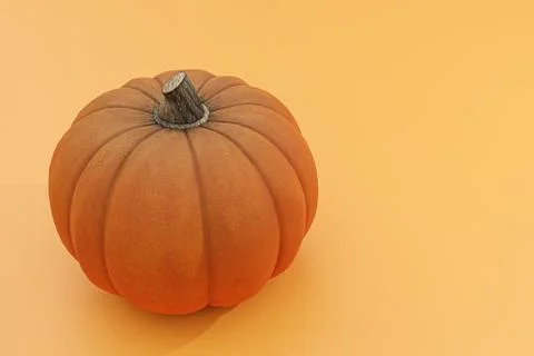 Pumpkin isolated on orange background Stock Illustration