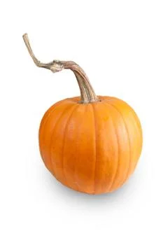 Pumpkin on isolated Foto stock