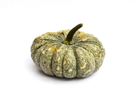 Pumpkin Isolated Stock Photos