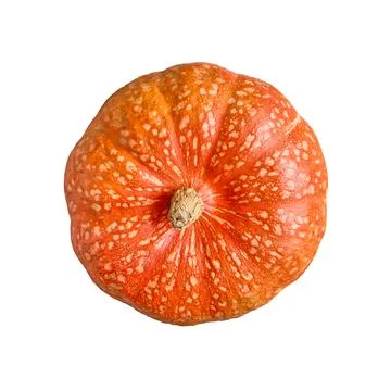 Pumpkin isolated on white background, close-up, top view Stock Photos
