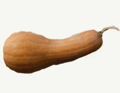 Pumpkin on isolated white background with copy space and cutout Stock Photos