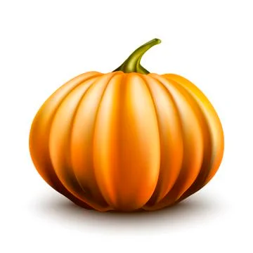 Pumpkin isolated on white background. EPS10 Stock Illustration