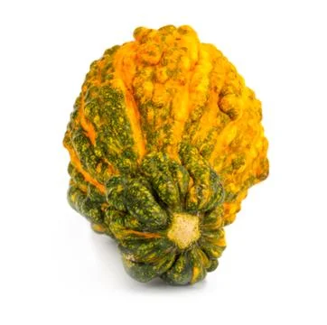 Pumpkin on isolated white background. Fresh, orange Stock Photos