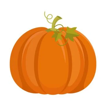 Pumpkin isolated on white background Stock-Illustration