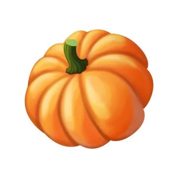 Pumpkin isolated on white background Stock Illustration