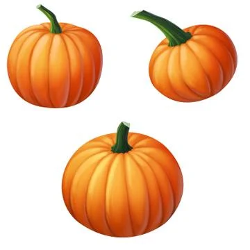 Pumpkin isolated on white background Stock Illustration