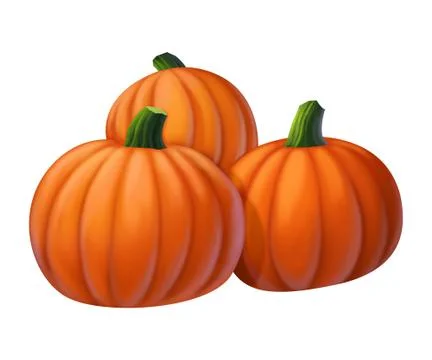 Pumpkin isolated on white background Stock Illustration
